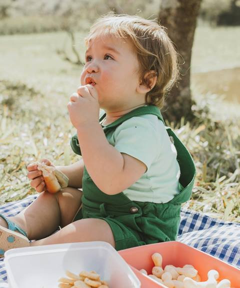 4 Syarat Sehat MPASI