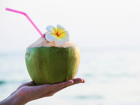 Daging kelapa muda mengandung serat, yang dapat membantu meningkatkan rasa kenyang. (Foto: Ilustrasi. Dok. Freepik.com)