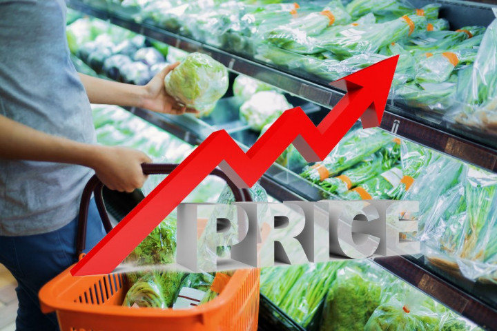 Imbas PPN Naik Jadi 12%, Harga-harga Barang Bakal Ikut Naik 0,9%