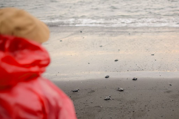 Perusahaan Dukung SDG's dan Konservasi Berkelanjutan, Memang Bisa?