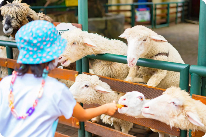 Liburan Bareng Keluarga, Ini 7 Tempat Wisata di Lembang yang Wajib Dikunjungi