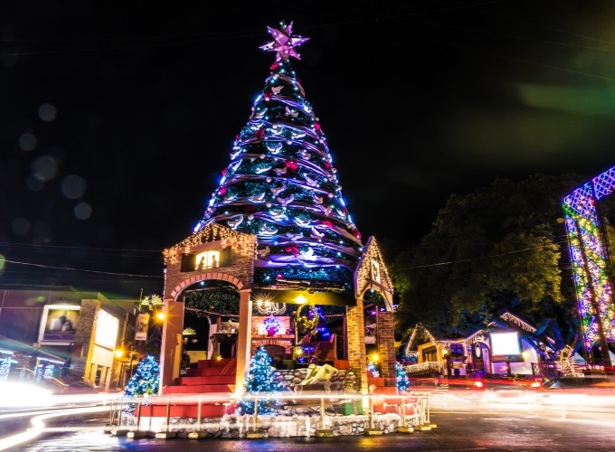 Tradisi Unik Pohon Natal di 8 Negara Berbeda