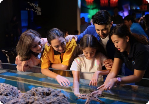 Jalan-jalan ke Jakarta Aquarium Safari saat Liburan Akhir Tahun, Cek Harga Tiketnya