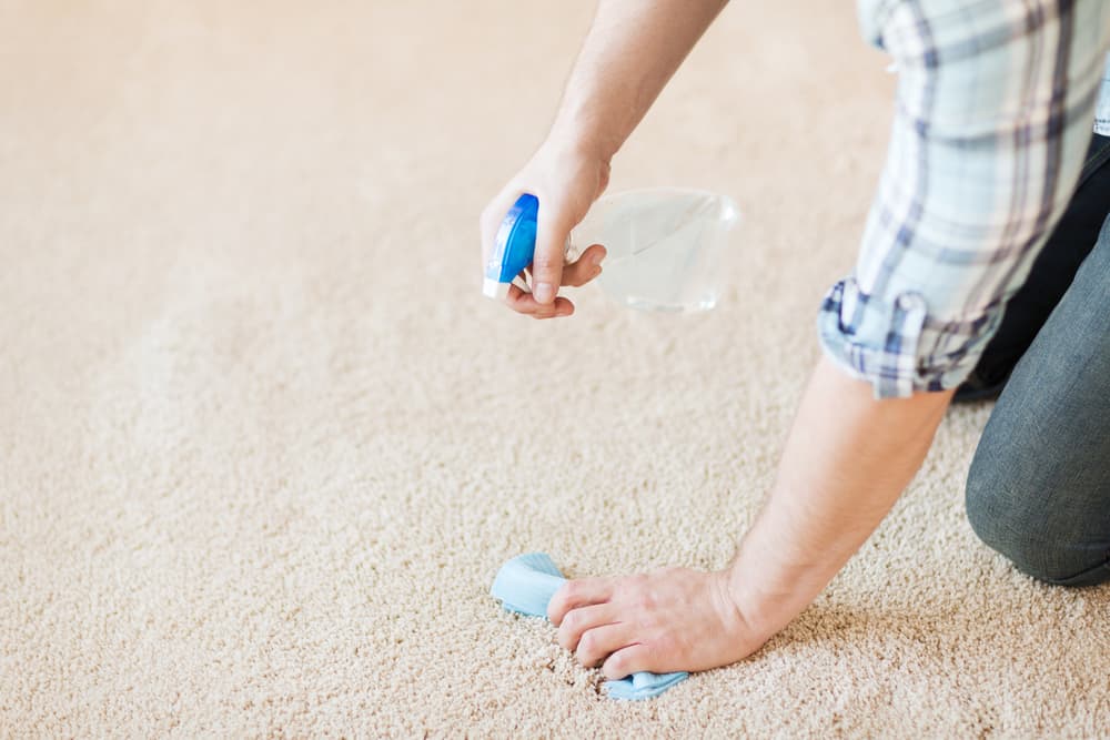 Trik membersihkan karpet sebelum tahun baru. Foto: Shutterstock