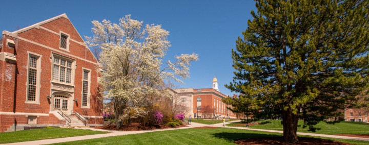 University of Connecticut, Rekomendasi Kuliah Bisnis di Amerika