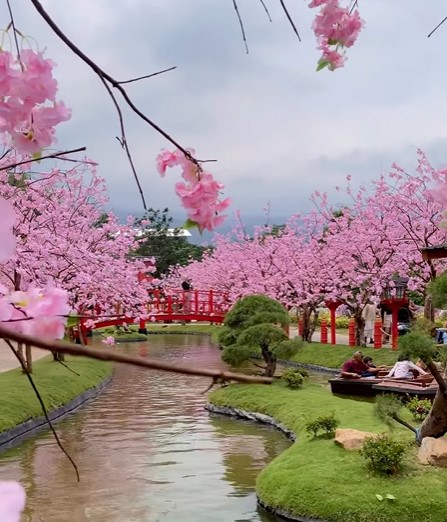 Sakura Park (Instagram  Dairyland Farm Theme Park Prigen)
