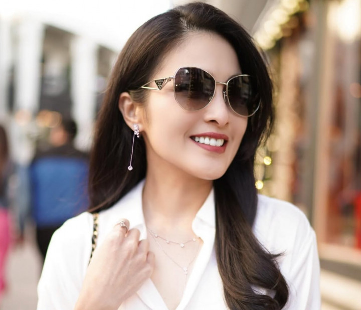 Berapa Total Biaya yang Dibayarkan Pemprov DKI untuk BPJS Harvey Moeis dan Sandra Dewi?