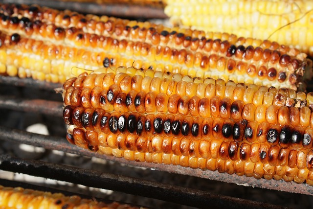 Ilustrasi jagung bakar (Medcom.id)