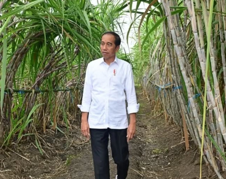 Penilaian OCCRP Terhadap Jokowi Perlu Pembuktian Data yang Akurat