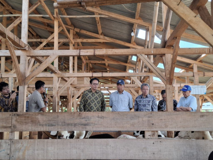 Uhamka AgroVision Siap Dukung Ketahanan Pangan Nasional Lewat Peternakan Domba Unggul