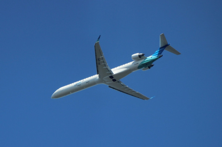 Garuda Indonesia-Pelita Air Siap Merger?