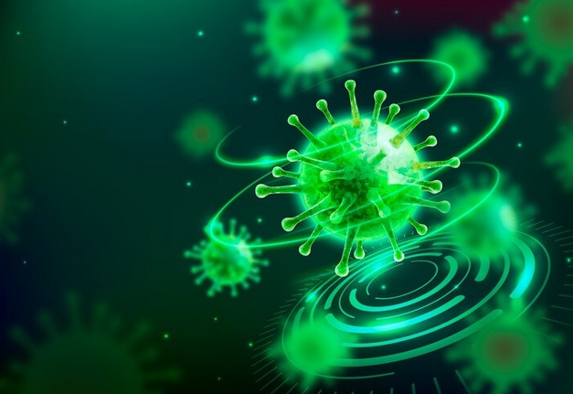 Kenali Demam Kelinci, Penyakit yang sedang Merebak di AS