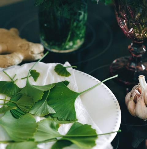 Beberapa obat herbal tradisional yang dapat membantu meredakan demam. (Foto: Ilustrasi/Dok. Pexels.com)