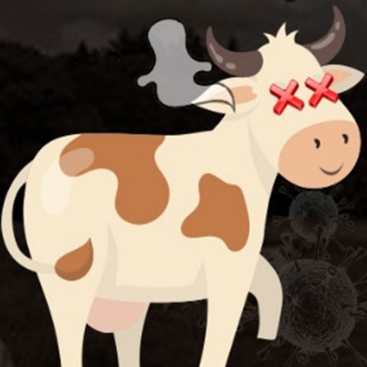 Awas! Penyakit Mulut dan Kuku Hewan Ternak Mewabah Kembali