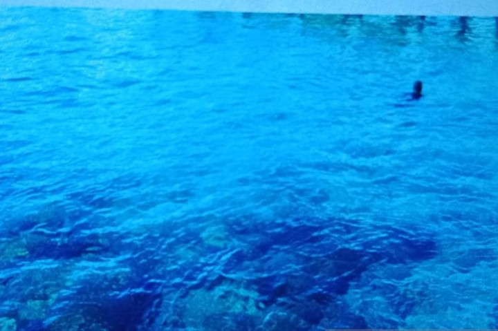 Peninggalan Perang Dunia II, Museum Bawah Laut Biak Diusulkan Jadi Cagar Budaya