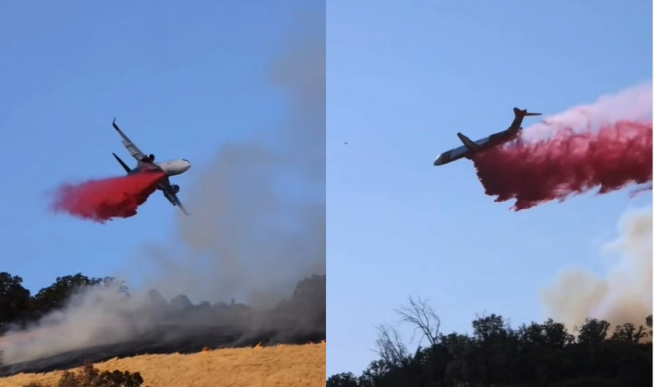 Intip Cara Kerja <i>Pink Powder</i> yang Dipakai untuk Memerangi Kebakaran Hutan di Los Angeles