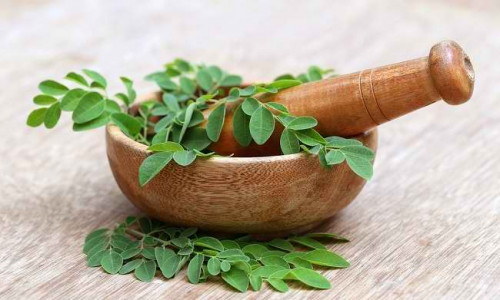 Daun Kelor, foto: Alodokter