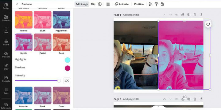 Tips Mudah Mengubah Warna, Grafik, dan Teks di Canva