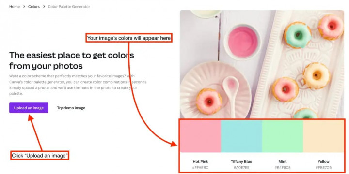 Cara Menggunakan Canva Color Panel Generator untuk Pemula