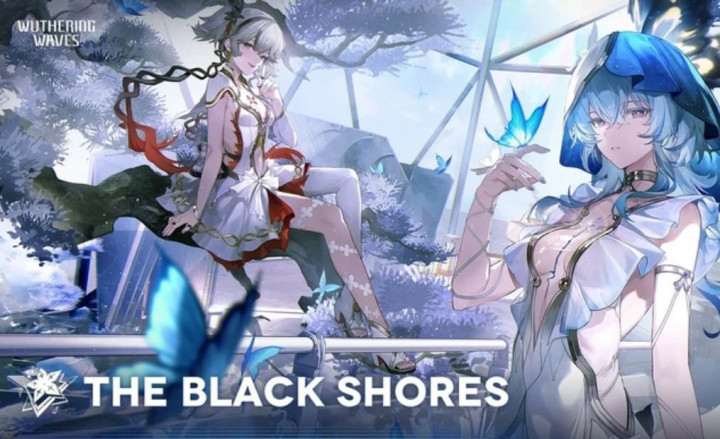 Black Shores Kunci Misteri Wuthering Waves