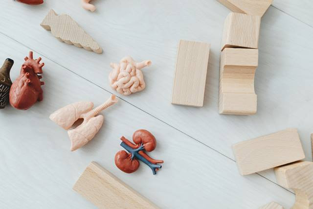 Waspadai Timbulnya Gatal pada Kulit, Bisa Jadi Penyakit Ginjal Kronis