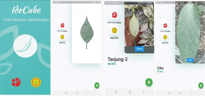 Pakai Deep Learning, Aplikasi Ini Bisa Kenali Banyak Jenis Cabe