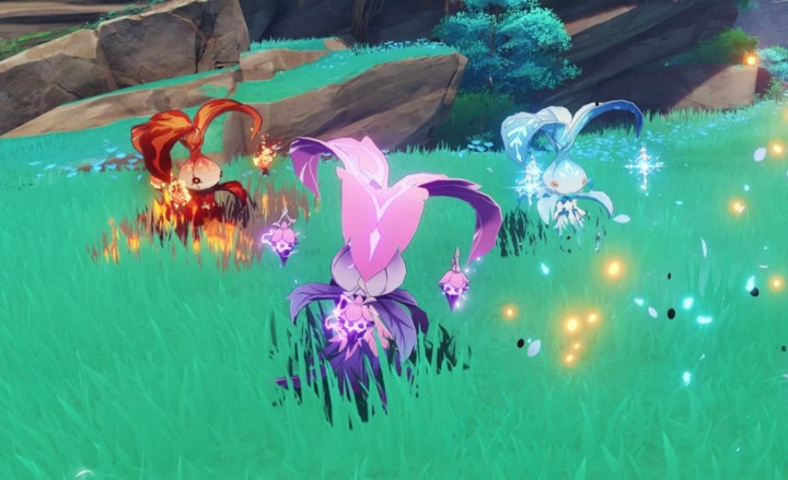 Lokasi Whopperflower Genshin Impact