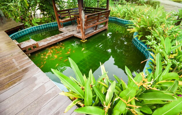 Tips Bikin Kolam Ikan di Rumah Minimalis
