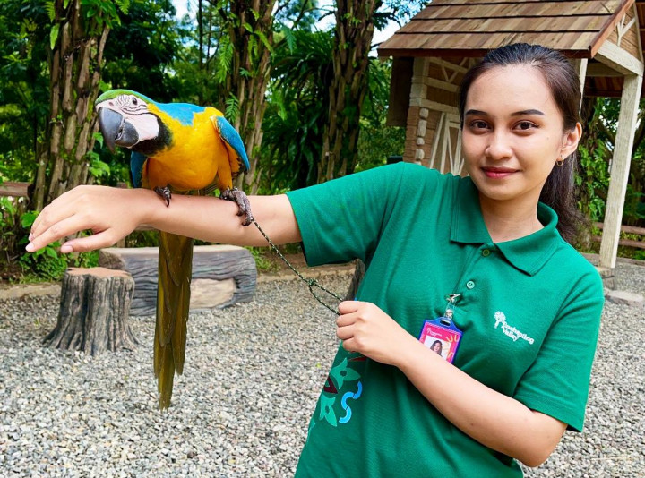 Baru Dibuka! Ini Jadwal 3 Show di Enchanting Valley yang Wajib Kamu Ikuti