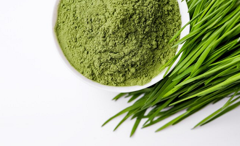 Mengenal Rumput Barley, Bahan Populer dalam Minuman Jus untuk Kesehatan