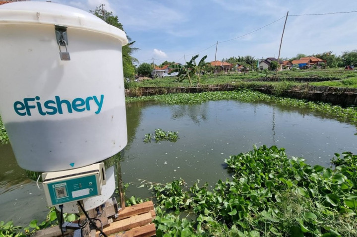 eFishery, Startup Unicorn 12 Tahun yang Akhirnya Kena Kasus