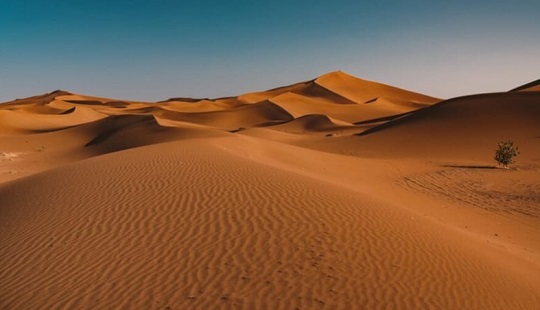 Ahli Paleontologi Yakin Fosil Dinosaurus Pertama Terkubur di Tempat Tak Terjangkau