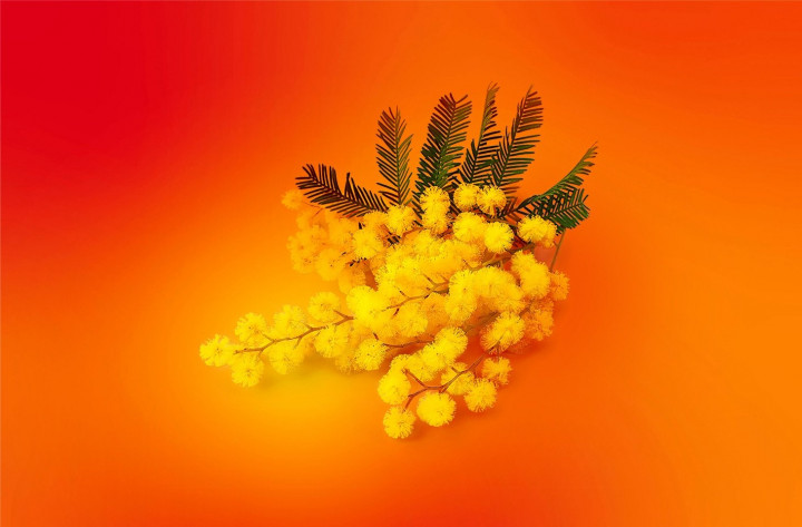 Munculnya Penipuan Siber di Momen Tahun Baru Imlek