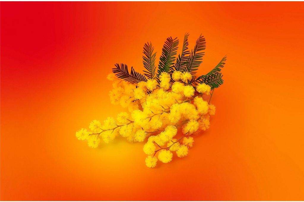 Berikut berita teknologi terpopuler di Medcom.id pada tanggal 30 Januari 2025.