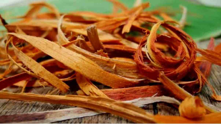 Brazilin dari Kayu Secang Berpotensi sebagai Terapi Kanker Prostat