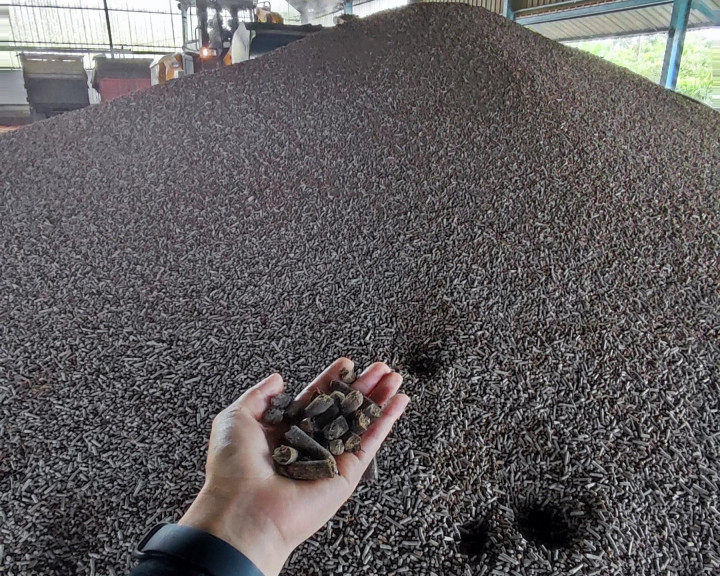 Ekosistem Biomassa Berbasis Kerakyatan Didorong Demi Energi Bersih dan Keberlanjutan