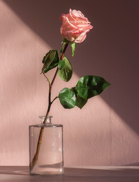 3 Tips Pilih Bunga di Hari Valentine