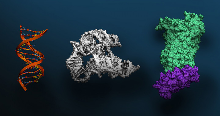 Model Fondasi AI untuk Ilmu Biomolekuler Sekarang Tersedia