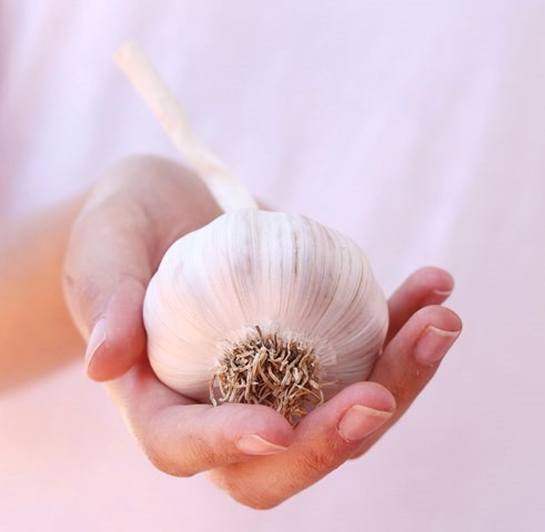 Bawang putih diyakini juga punya manfaat untuk menurunkan kadar kolesterol. (Foto: Ilustrasi/Dok. Pexels.com)