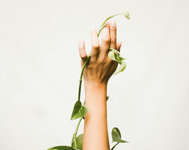 Tanda Kolesterol Tinggi yang Bisa Terlihat di Tangan