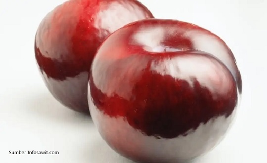 Coating Glossy Sawit Perpanjang Kesegaran Buah