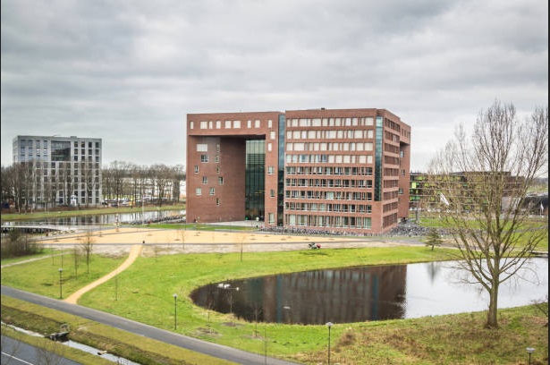 Universitas Terhijau di Dunia, Ini 8 Pilihan Kampus Ramah Lingkungan