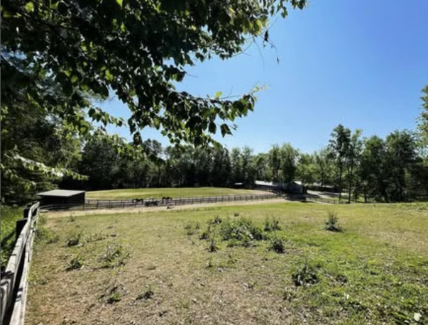 Bintang Mean Girls Pindah Rumah Demi Atasi Kecemasan dan OCD