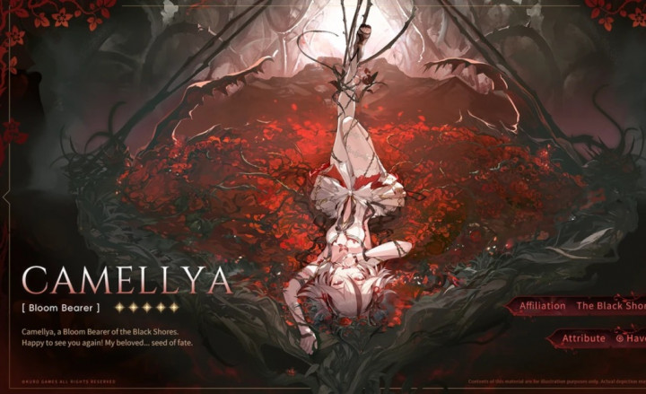 Panduan Build Camellya di Wuthering Waves