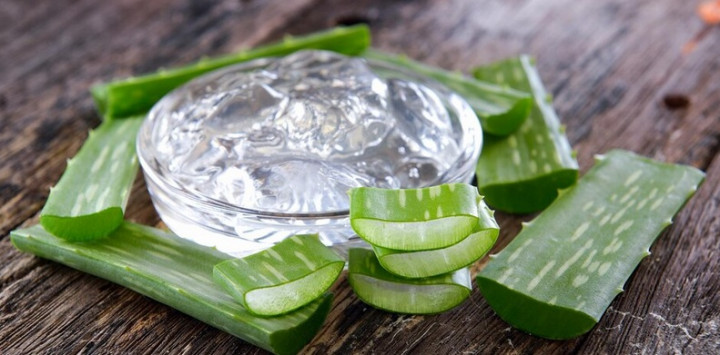 Ahli: Lidah Buaya Dapat Menenangkan Kulit Terbakar
