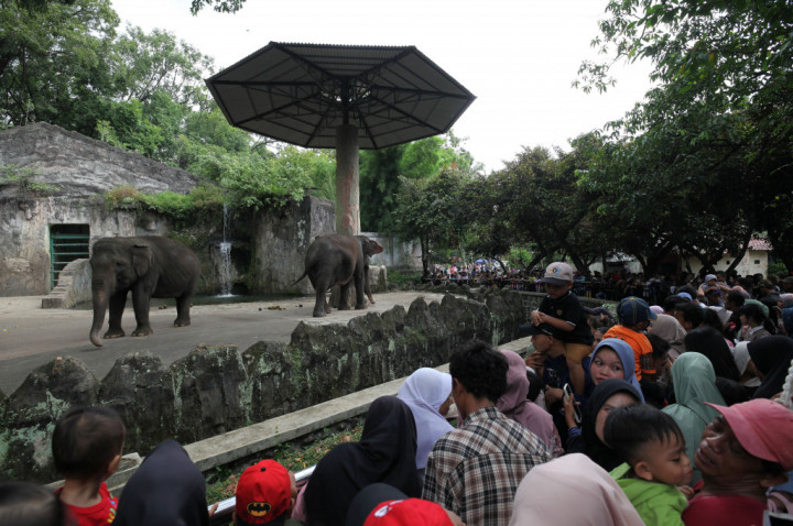 Libur Lebaran 2025, Ini Daftar Harga Tiket Masuk Ancol hingga Ragunan