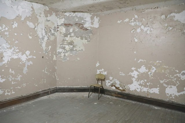 Kemunculan black mold ditandai dengan adanya noda hitam, hijau, abu-abu, atau coklat yang terasa berlendir atau bertepung ketika disentuh.  (Foto: Ilustrasi/Dok. Pexels.com)