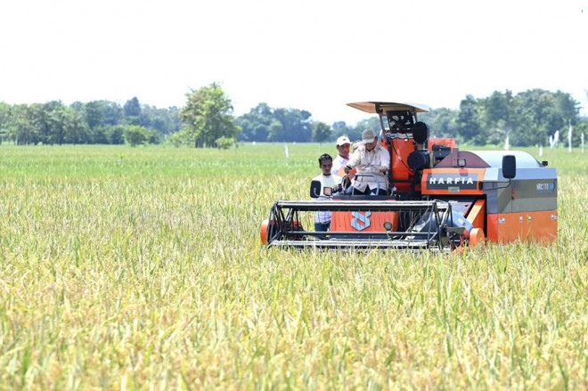 Presiden Prabowo Subianto menghadiri Panen Raya Nasional yang dipusatkan di Desa Randegan Wetan, Kecamatan Jati 7, Kabupaten Majalengka, Provinsi Jawa Barat, Senin, 7 April 2025. 