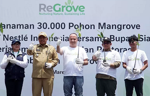 Inisiatif penanaman pohon Nestlé. (Foto: Dok. Istimewa)