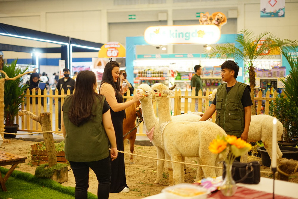 PetFest Indonesia (Foto: instagram)